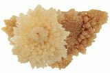 Fascinating Cave Calcite Mushroom Stalactite - Wenshan Mine #223546-3